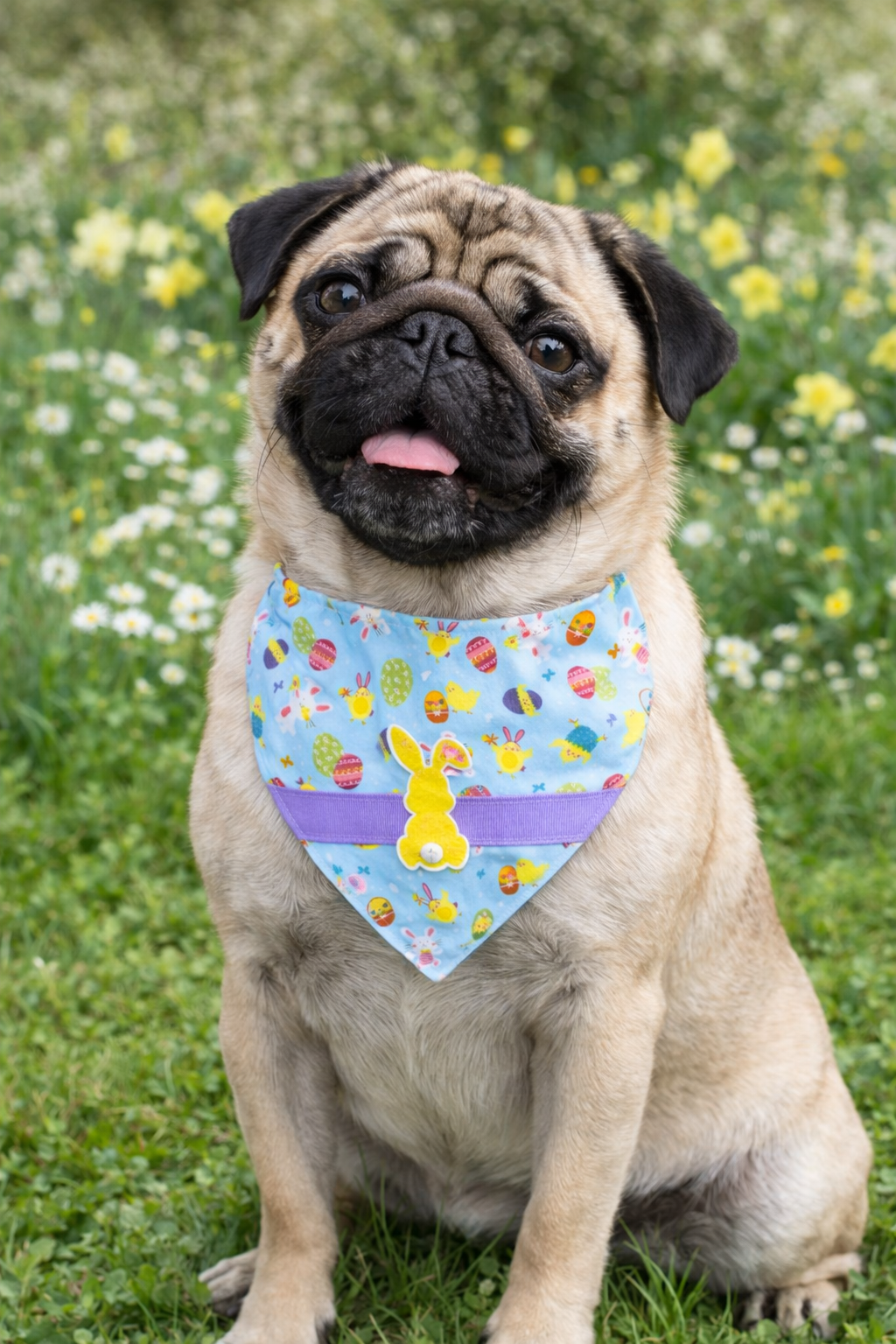 🐰“Hop Into Spring with Every Wag!”