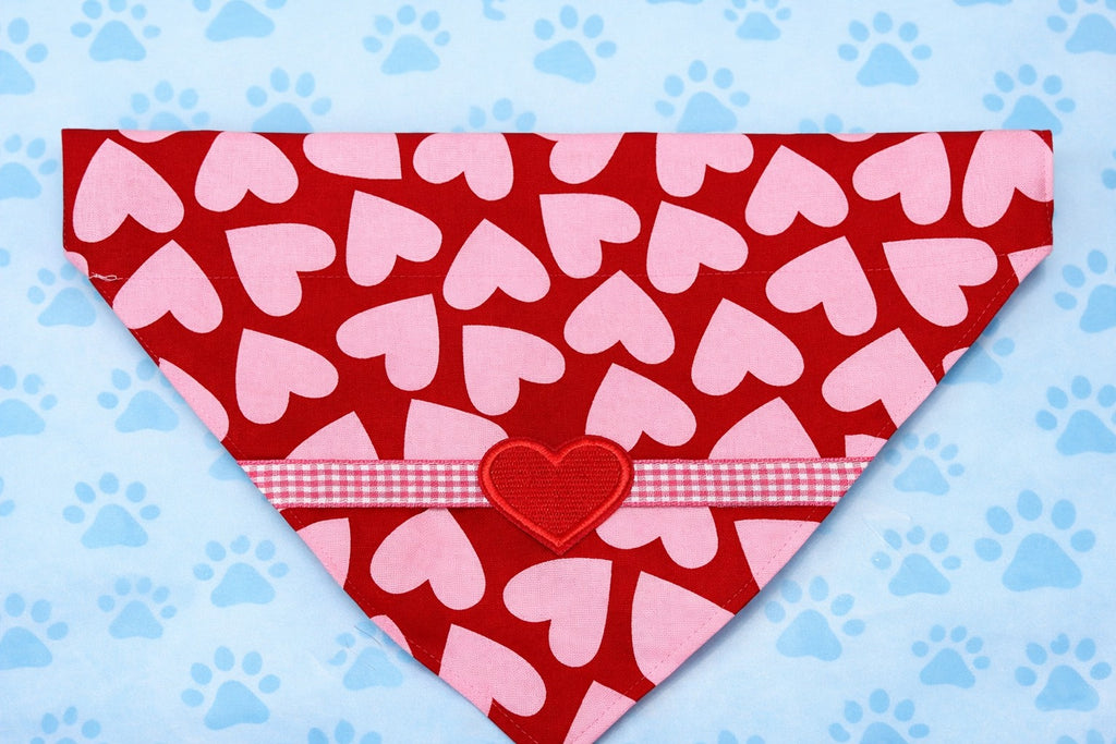 💕🐾Hearts, Wags & Valentine Vibes