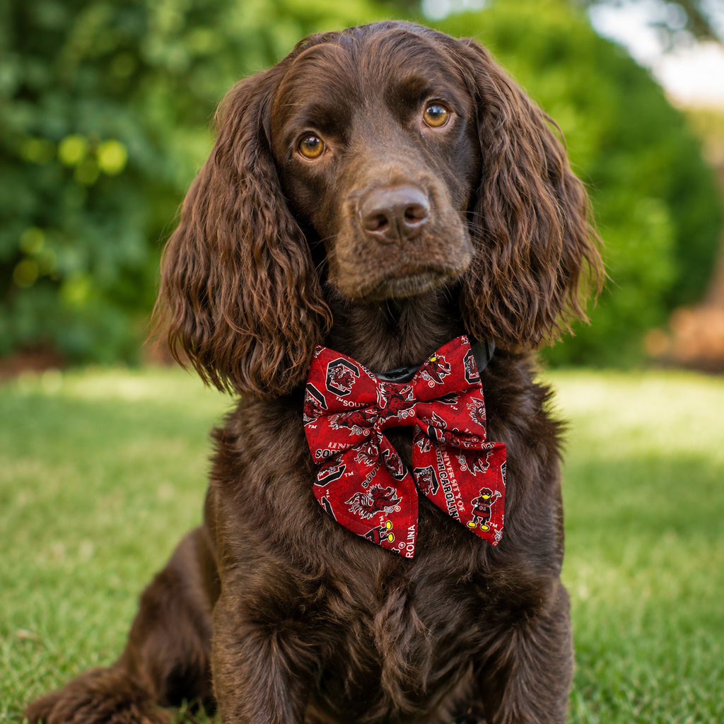 Gamecock Game Day – University of South Carolina Pet Sailor Bow