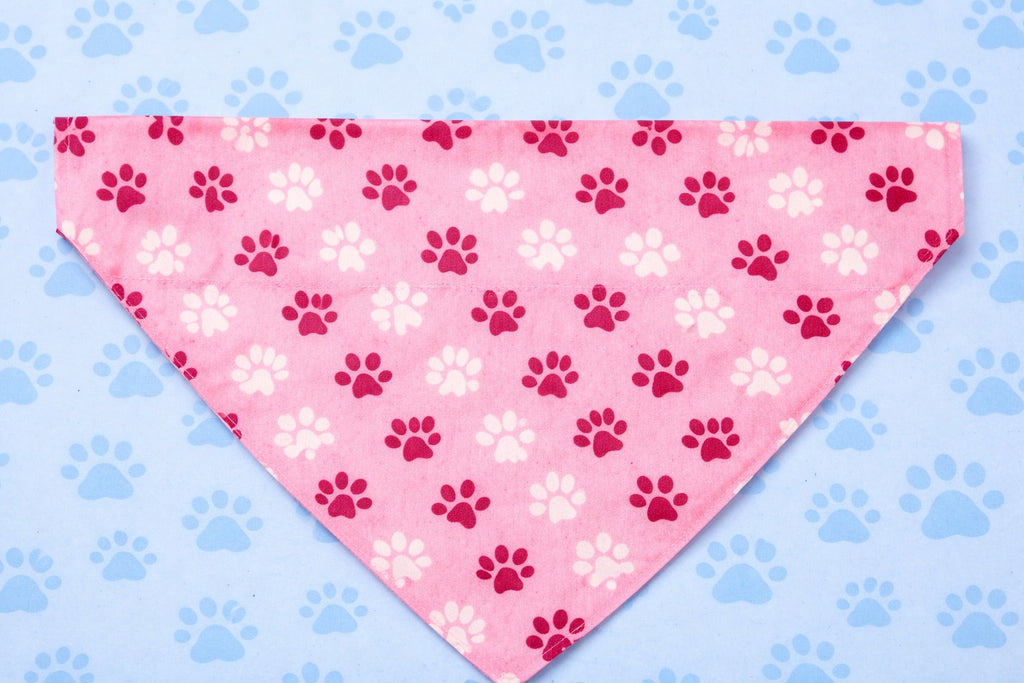 💕🐾Hearts, Wags & Valentine Vibes