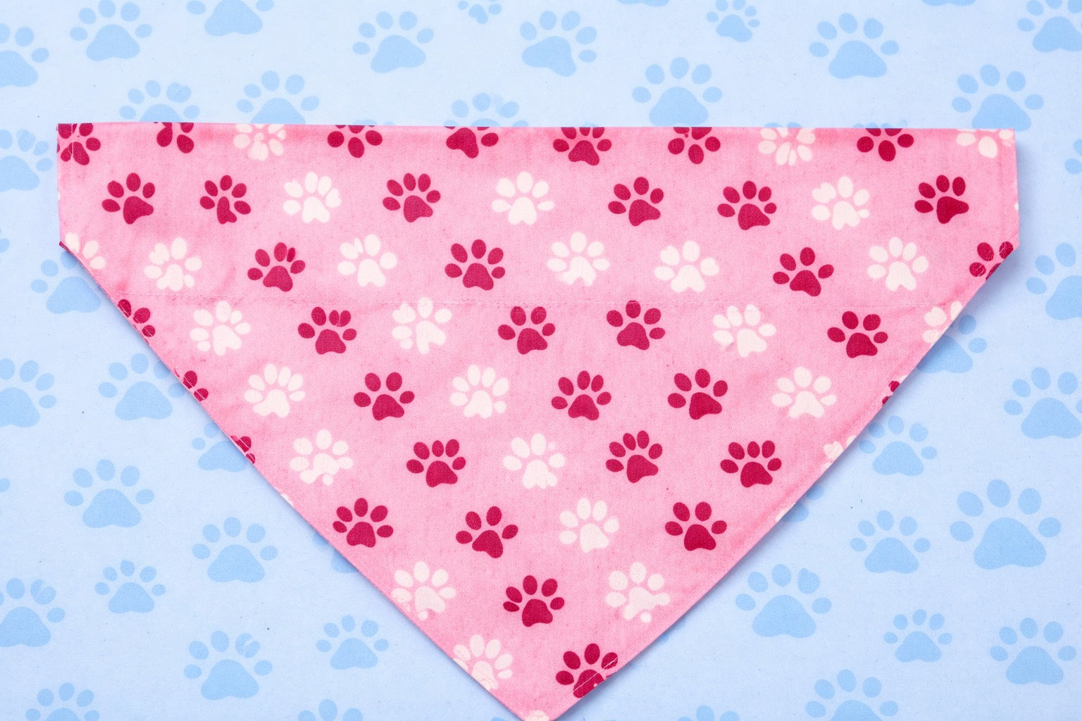 💕🐾Hearts, Wags & Valentine Vibes