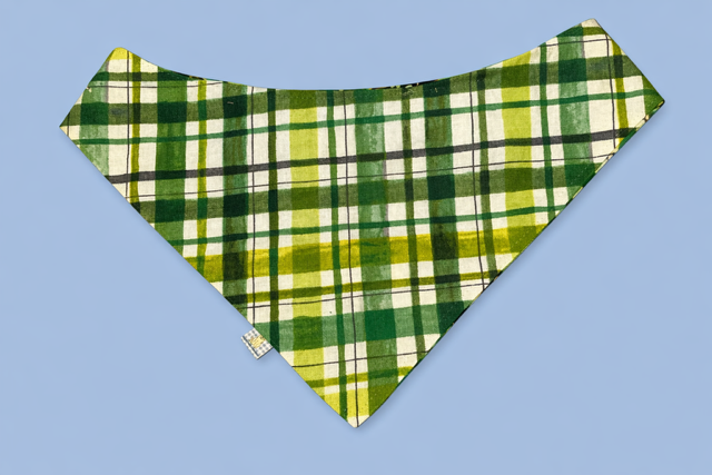 🍀🐾 A Clover Classic for Stylish Dogs