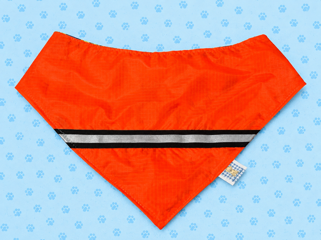 High-Visibility Reflective Hook and Loop Dog Bandana