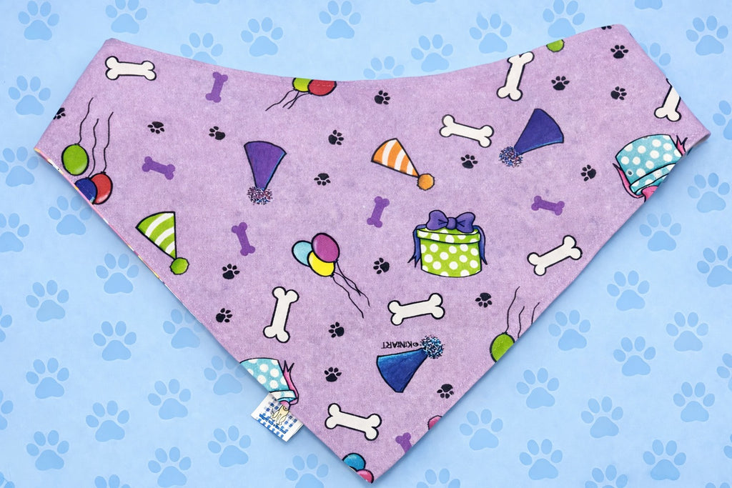 Pretty in Pink for the Paws-itively Perfect BarkDay.