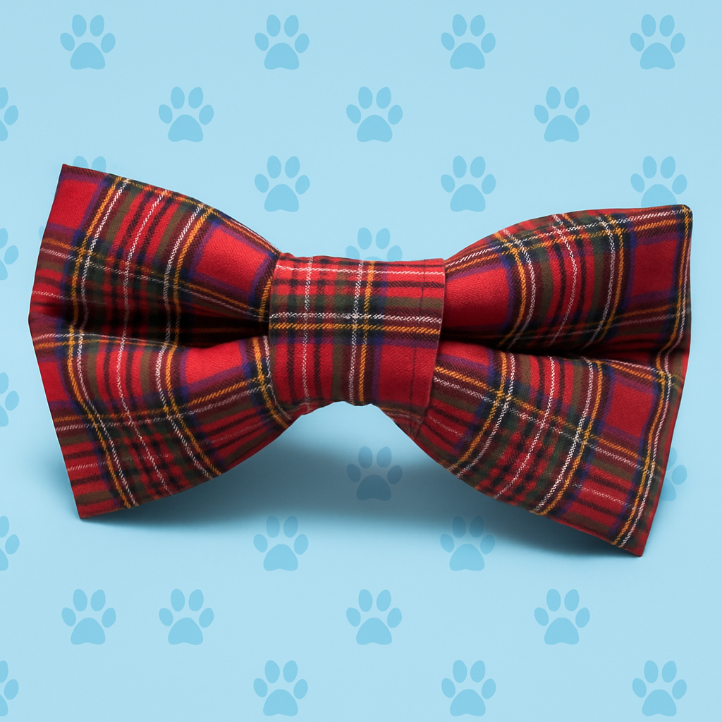 ❄️ Holiday Spirit, Served Bow-Tie Style.