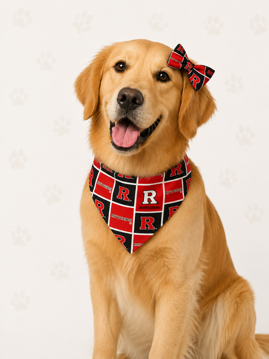 🐾 Rutgers Scarlet Knights Pet Bandana – Game Day Pup Pride