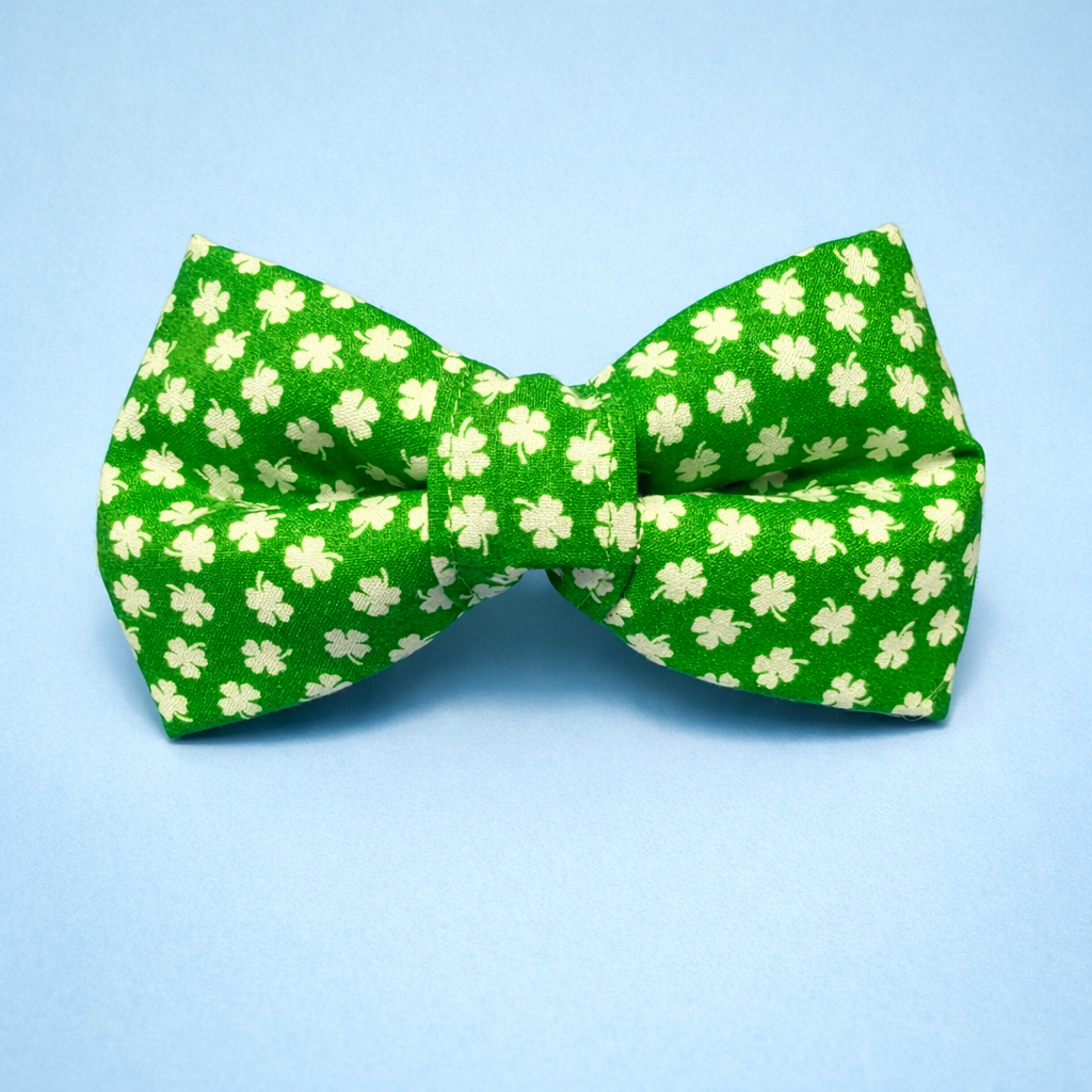 🍀Classic shamrock style for the most dapper dogs